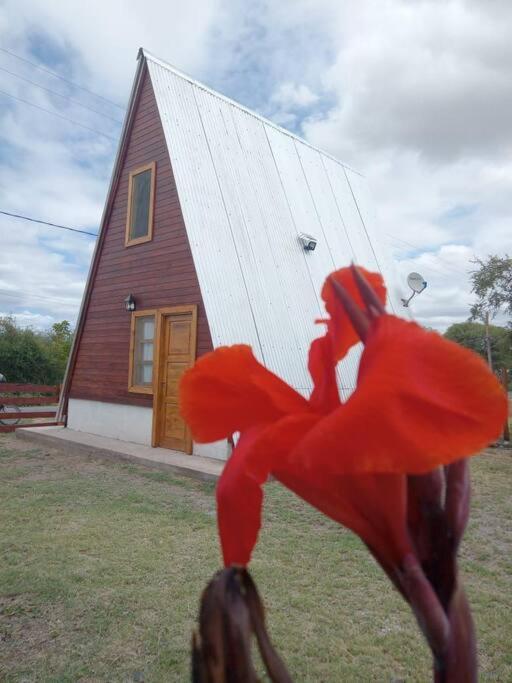 Amancay Alpina En Valle Fertil Holiday home San Agustin de Valle Fertil