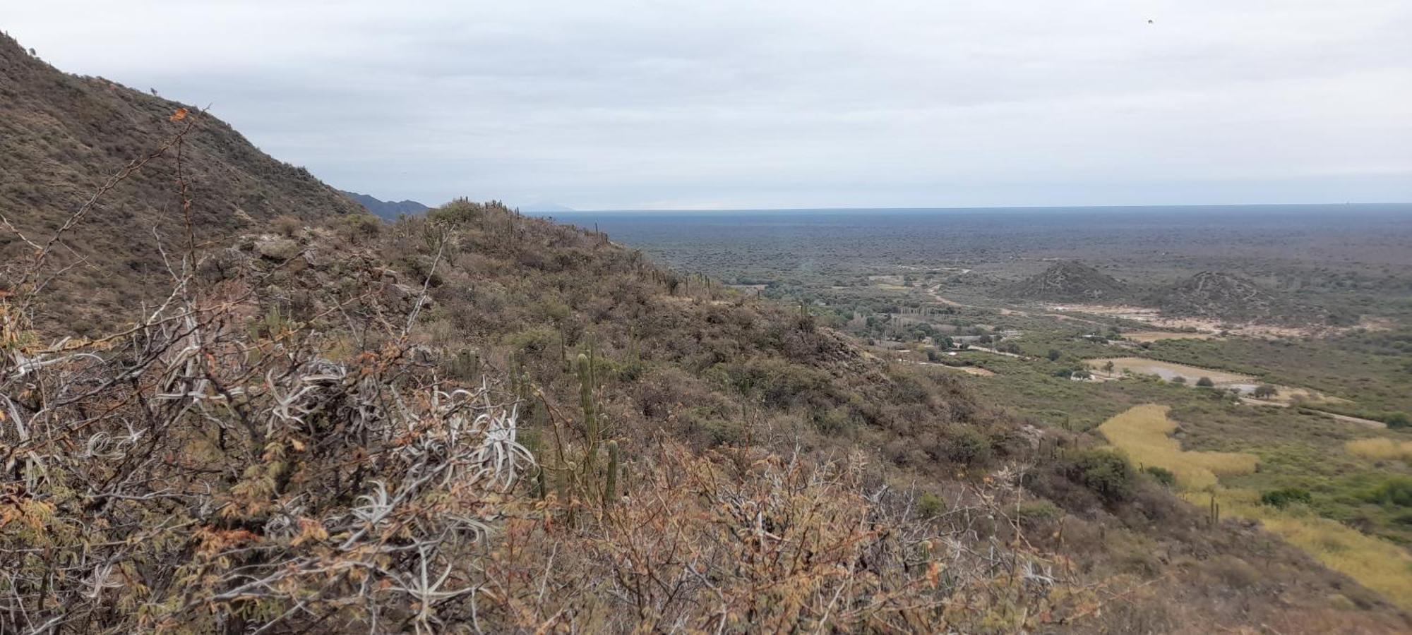Amancay Alpina En Valle Fertil San Agustin de Valle Fertil